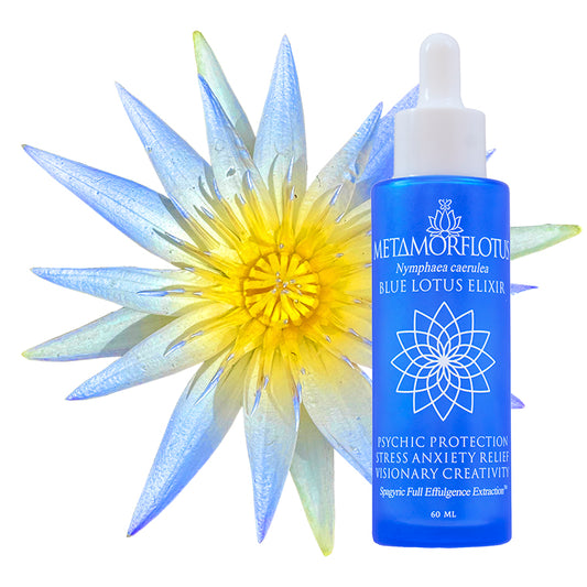 True Blue Lotus Spagyric Elixir