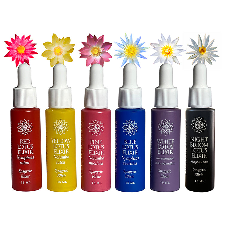 Full Lotus Spagryic Elixir Sample Set of Six NEW!