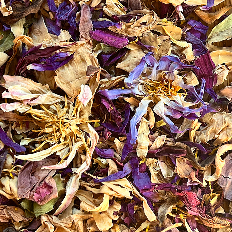 Rainbow Lotus Prophecy of Awakened Humanity Flower Tea