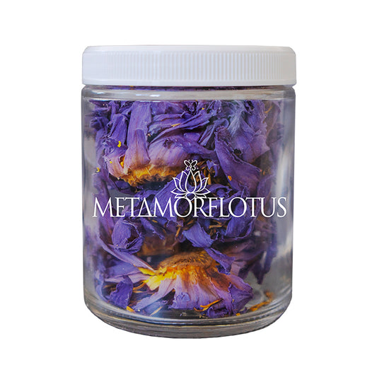 Asian Blue Lotus Dreams Come True Flower Tea