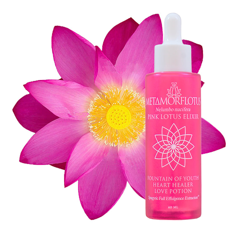 Pink Lotus Spagyric Elixir