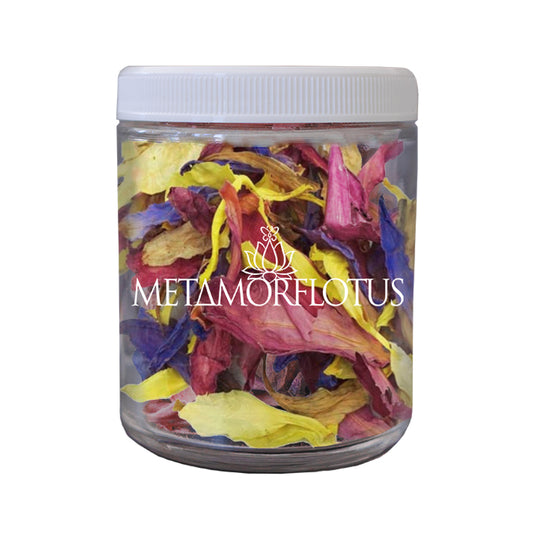 Rainbow Lotus Prophecy of Awakened Humanity Flower Tea