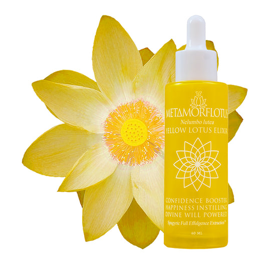 Yellow Lotus Spagyric Elixir