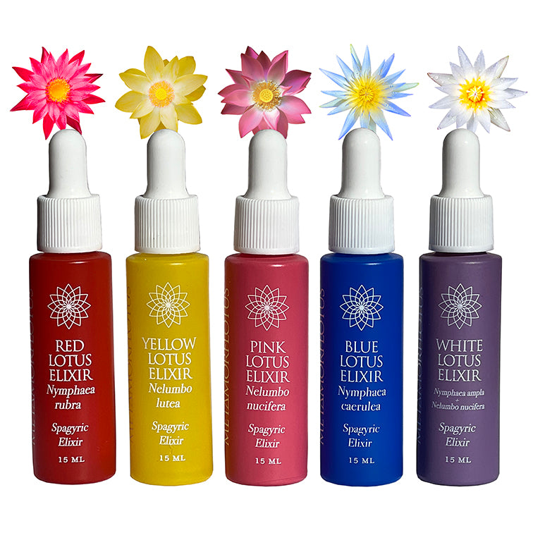 Full Lotus Spagryic Elixir Quintet Samples Set NEW!