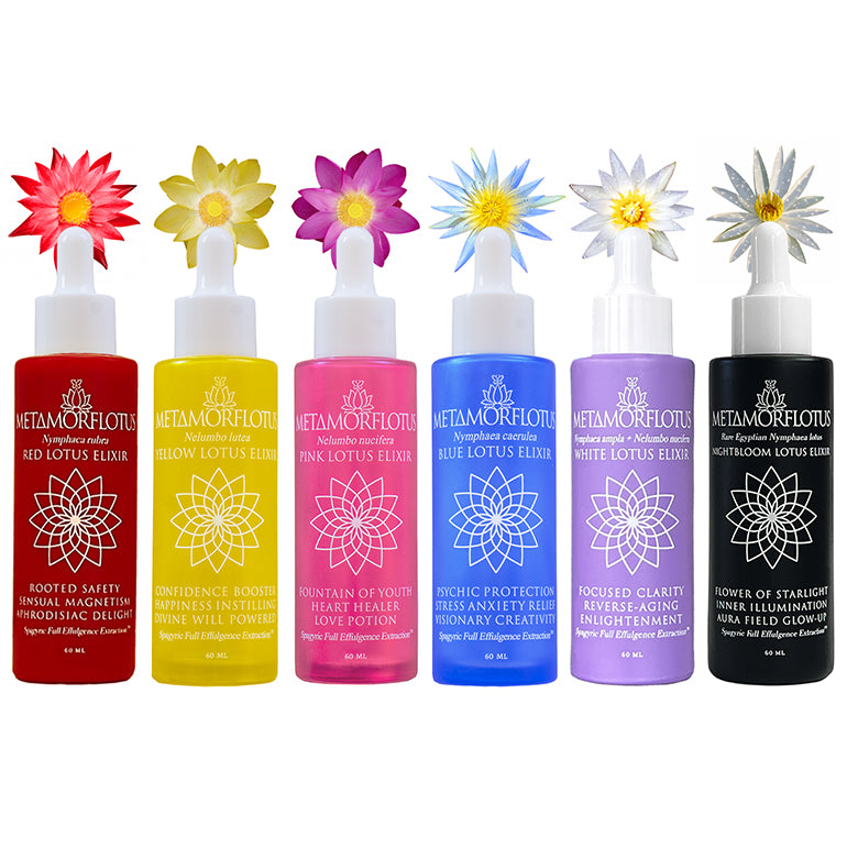 Full Lotus Spagryic Elixir Set of Six