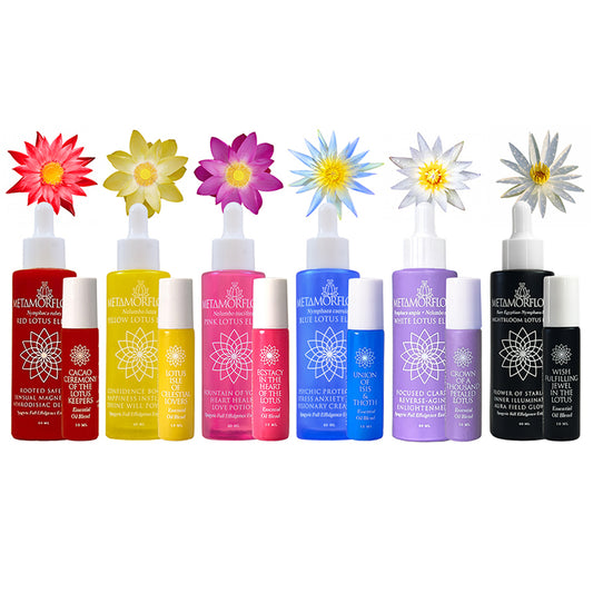 Lotus Flower Royal Treatment Set of Twelve