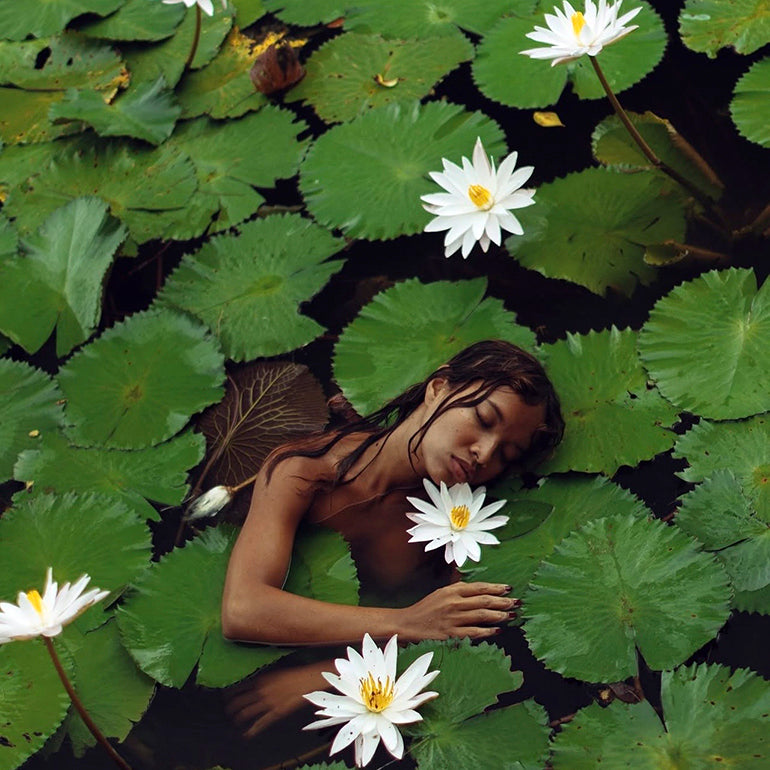 NEW "Wish Fulfilling Jewel in the Lotus" Essential Oil Blend