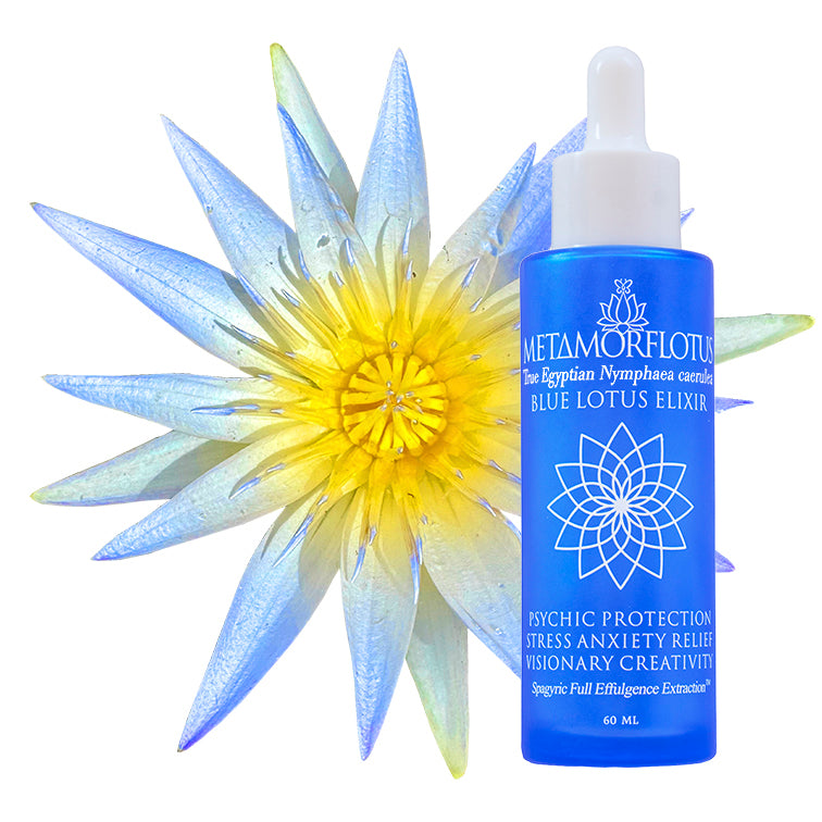 True Blue Lotus Spagyric Elixir